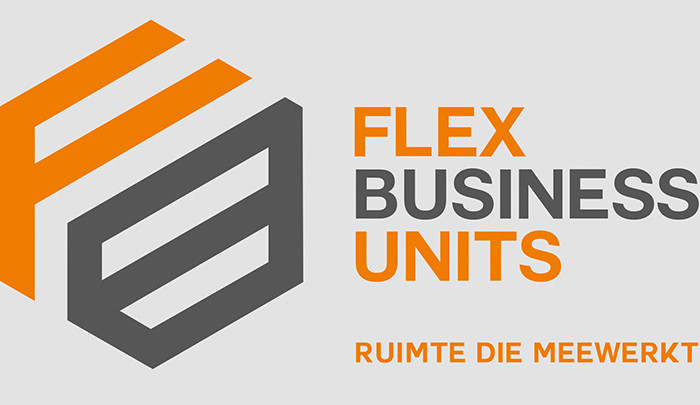 Flex Business Units logo footer